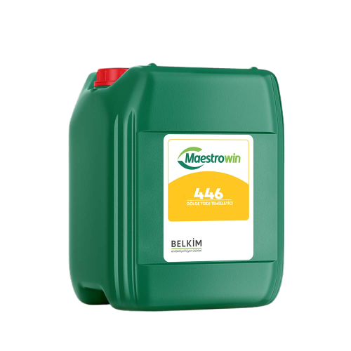 Maestrowin 446  Nedir? Kullanım Rehberi ve Faydaları